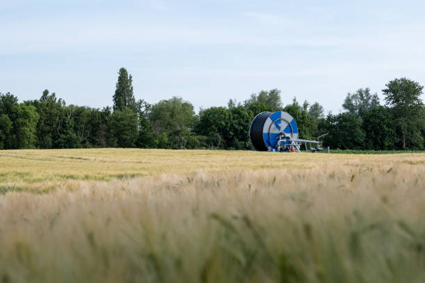 Auto Retractable Garden Hose Reel